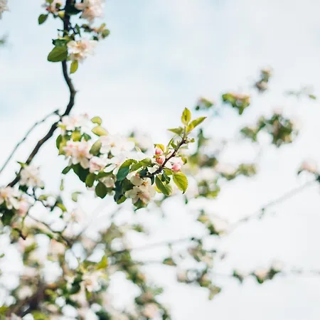 Lejlighed Haus Fiegle